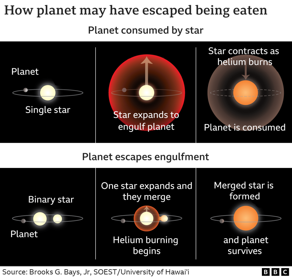 Grafico che mostra lo scenario normale in cui un pianeta viene inghiottito da una stella in espansione e cosa pensano gli scienziati sia successo alle otto Orsay Minoris b