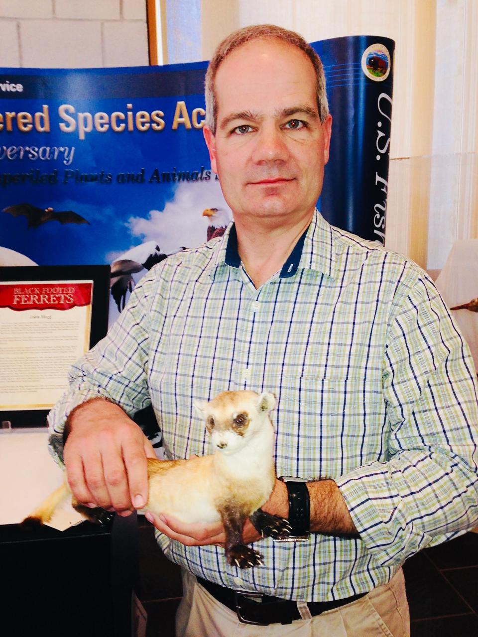 Mark Madison holds the rediscovered black-footed ferret.