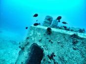 <p>Wreck Alley is a stretch of scuttled ships for divers to explore — the most popular and advanced dive being the <a href="https://www.sandiego.org/articles/scuba-diving/the-hmcs-yukon-dive-in-san-diego.aspx" rel="nofollow noopener" target="_blank" data-ylk="slk:HMCS Yukon;elm:context_link;itc:0;sec:content-canvas" class="link ">HMCS Yukon</a>, a Canadian destroyer escort that's 366 feet long and 40 feet wide with six decks and over 100 compartments. The venture is recommended to advanced divers only, but beginners can scuba dive or snorkel at one of the city's other <a href="https://www.sandiego.org/articles/scuba-diving/scuba-diving-in-san-diego.aspx" rel="nofollow noopener" target="_blank" data-ylk="slk:popular dive sites;elm:context_link;itc:0;sec:content-canvas" class="link ">popular dive sites</a>. </p>