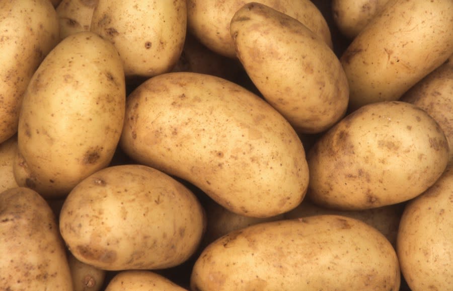 National Potato Day Where to get the best potatoes your favorite way!