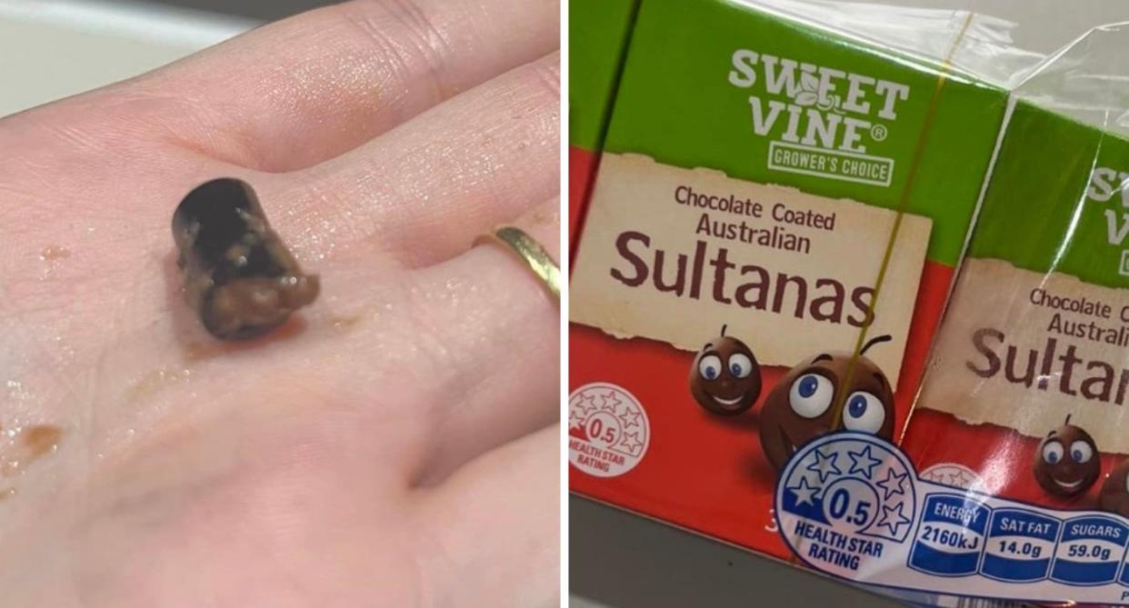 The piece of plastic (left) the sultanas (right).