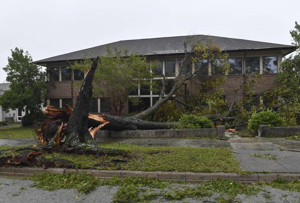 A downed tree rests on a building in Wilmington.