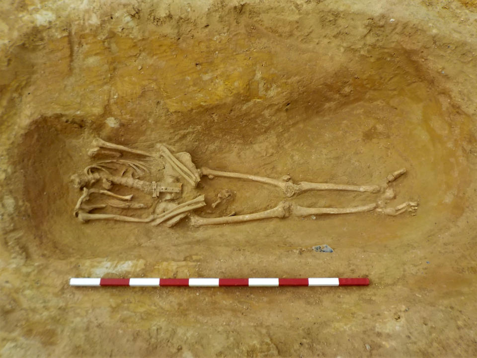 A collection of decapitated skeletons have been unearthed at an archaeological dig at Roman ruins near Great Whelnetham, in Suffolk.