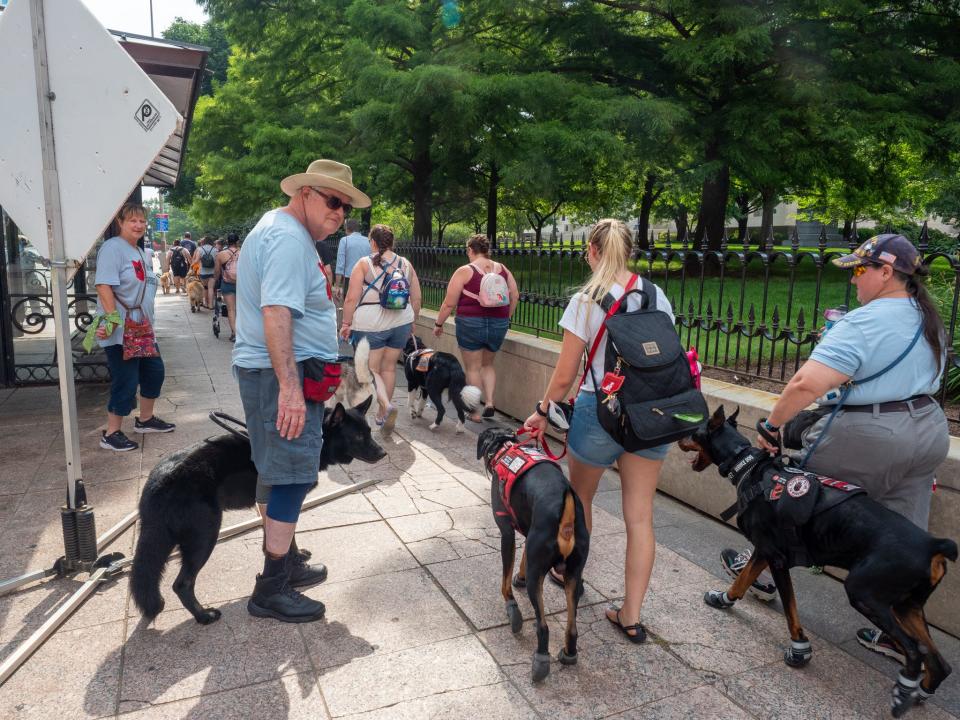 Rick Vade Bon Coeur and service dog, Duke, stop to mark a hazard on the sidewalk. The traffic sign was placed in a spot that made it difficult for those using wheelchairs and walkers.