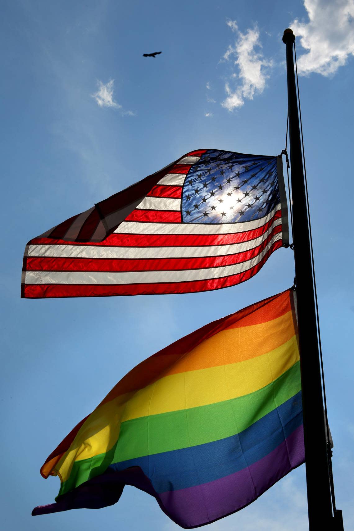 Two Tri-Cities school boards are considering banning controversial flags, including gay pride flags, from classrooms.