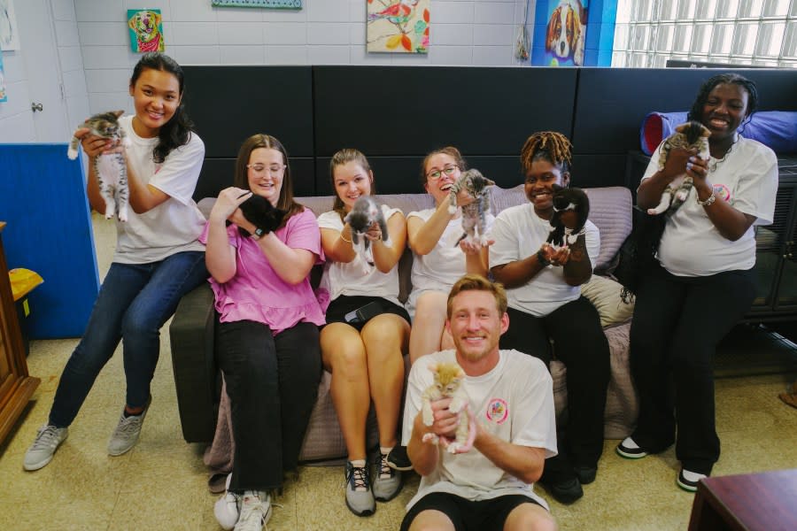 Several WHNT employees got the chance to play with some of GHHS’s adoptable kittens (photo: Cristina Byrne, WHNT)