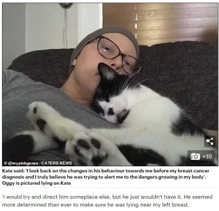 凱特（Kate King-Scribbins）與寵物貓毆吉。（圖／翻攝自《Daily Mail》）
