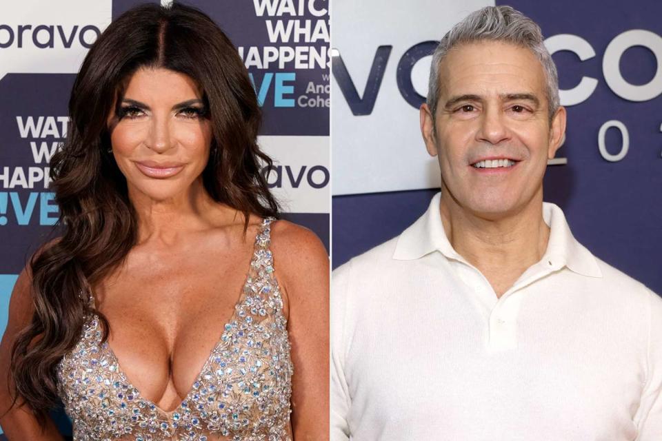 <p>Ralph Bavaro/BRAVO via Getty; Rich Polk/Bravo via Getty</p> (L-R) Teresa Giudice and Andy Cohen.