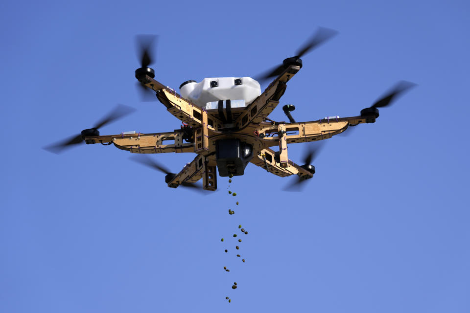 A drone pours mangrove seeds over a lagoon at Al Nouf area southwest of Abu Dhabi, United Arab Emirates, Wednesday, Oct. 11, 2023. Abu Dhabi National Oil Co. (ADNOC), earlier this year began using drones to scatter mangrove seeds across Abu Dhabi, part of what it touted as a sustainability effort to plant some 2.5 million of the carbon-storing plants. (AP Photo/Kamran Jebreili)