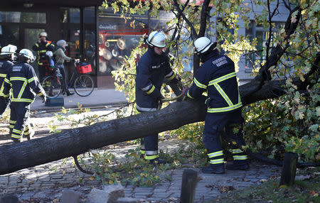 Frefighters work on a tree that fell during stormy weather caused by a storm called "Herwart," in Hamburg, Germany October 29, 2017. REUTERS/Fabian Bimmer