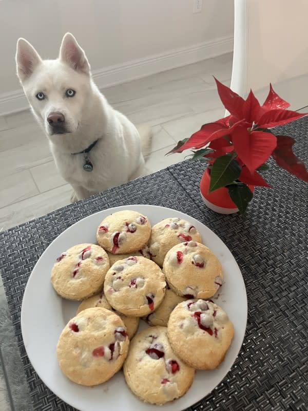 Cranberry Christmas Cookies Final<p>Courtesy of Dante Parker</p>