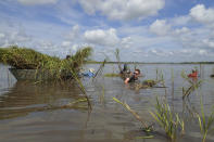 In this July 25, 2019, photo provided by LSU AgCenter and LA Sea Grant, teens at 4H Marsh Maneuvers Coastal Ecology Camp plant smooth cordgrass to restore the eroding shoreline of Bayou Petite Anse, near Avery Island, La. As storms grow more violent and Louisiana loses more of its coast, the family that makes Tabasco Sauce is fighting erosion in the marshland that buffers it from hurricanes and floods. (Mark Shirley/LSU AgCenter and LA Sea Grant via AP)