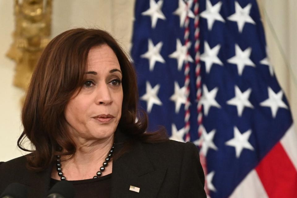 Vice president Kamala Harris (AFP via Getty Images)