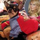 <p>She also showed off this too-cute <a rel="nofollow noopener" href="https://www.instagram.com/p/Bau7GzHn0-1/?hl=en&taken-by=parishilton" target="_blank" data-ylk="slk:SuperPuppy;elm:context_link;itc:0;sec:content-canvas" class="link ">SuperPuppy</a>. She captioned it, “Ready for Halloween b*****s!” (Photo: Instagram/Paris Hilton; Getty Images) </p>