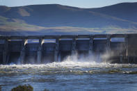 Water flows over The Dalles Dam on the Columbia River as seen from The Dalles, Ore., on Sunday, June 19, 2022. Hydroelectric dams, like The Dalles Dam, on the Columbia and its tributaries have curtailed the river's flow, further imperiling salmon migration from the Pacific Ocean to their freshwater spawning grounds upstream. (AP Photo/Jessie Wardarski)