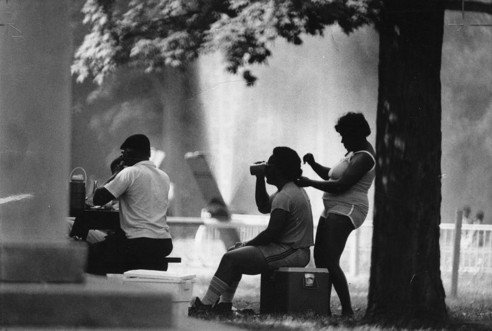 Chickasaw Park, 6-27-80. Photo by Jim Wright.Kathy Knox groomed the hair of Walter Cork, above, during a family picnic at Chickasaw Park