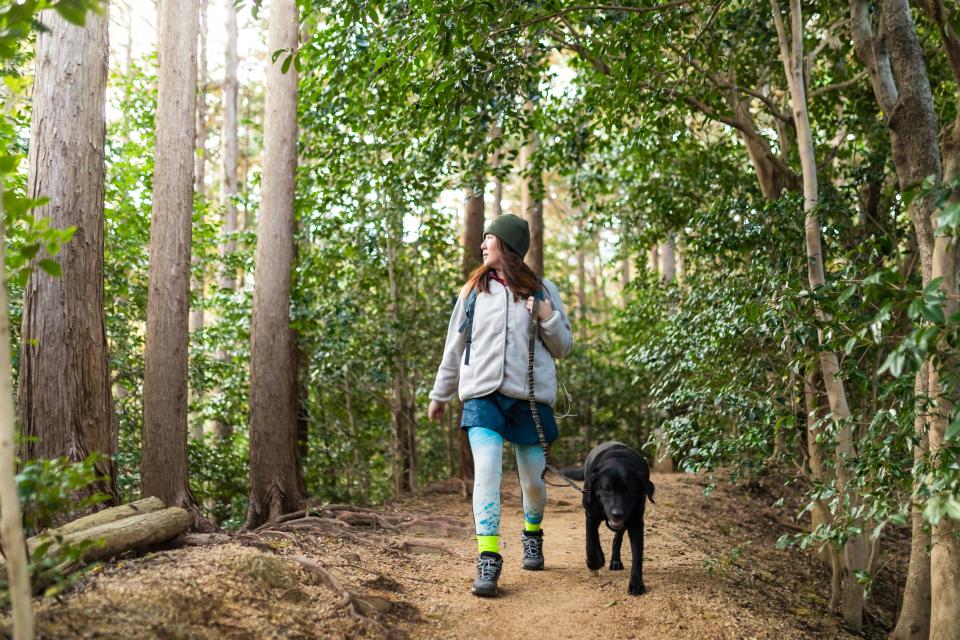 A woman and dog enjoy a walk in the woods.