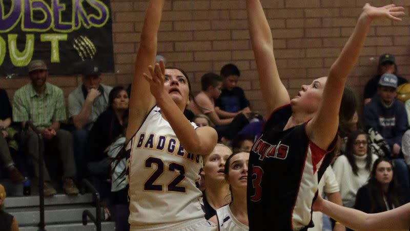 Wayne’s AnDee VanDyke was voted the Deseret News 1A Player of the Year.