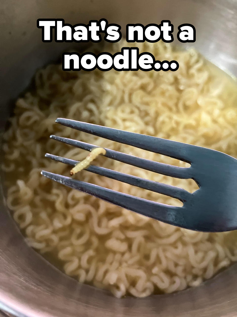 "That's not a noodle..."