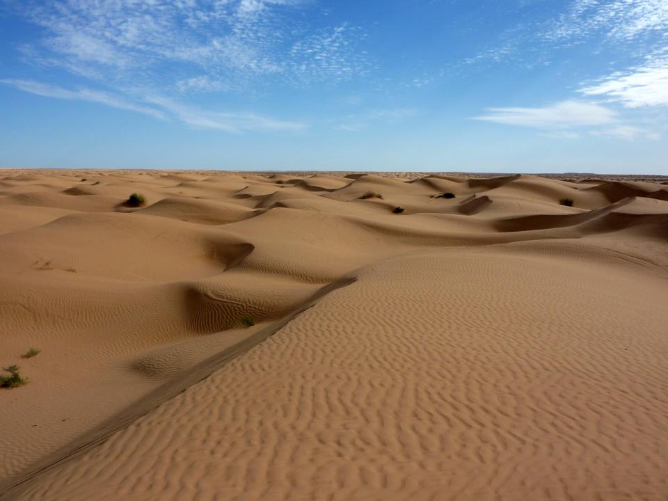 Desierto del Sahara. Foto de International Business Times