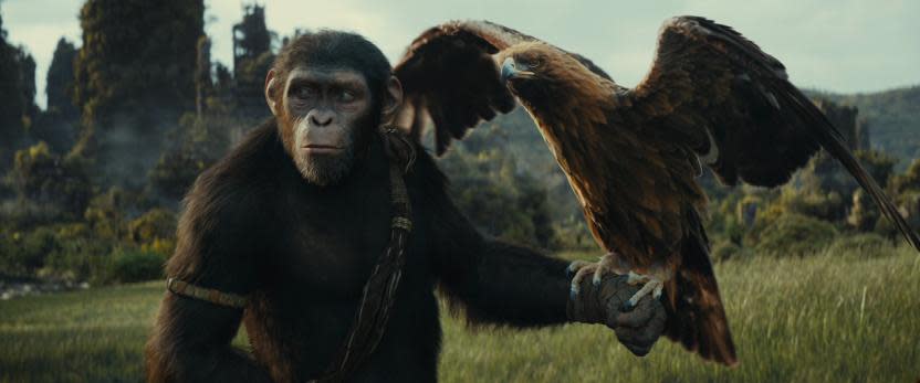 Kingdom of the Planet of the Apes (IMDb)