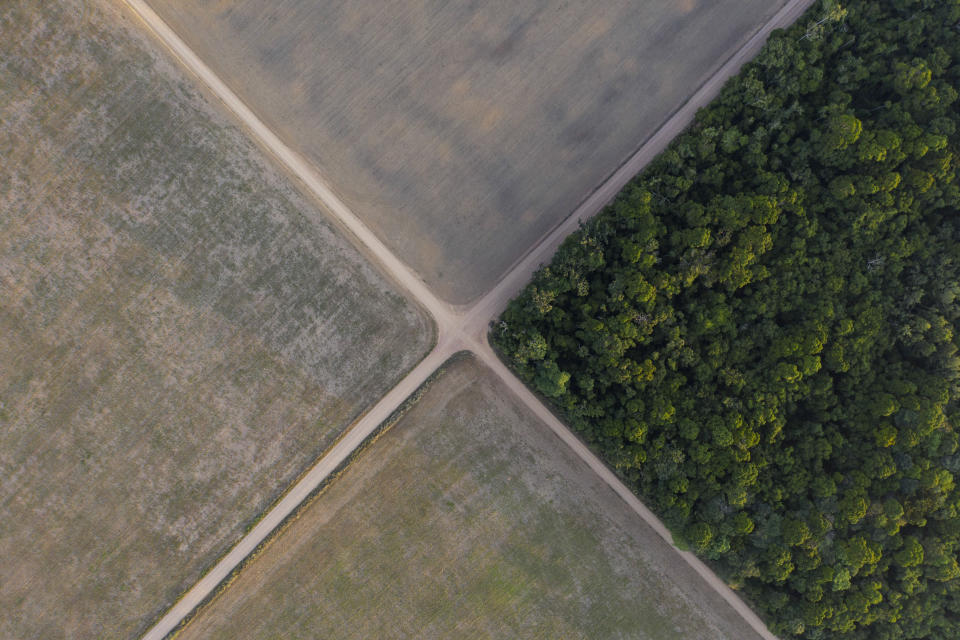 FILE - In this Nov. 30, 2019 file photo, a section of Amazon rainforest stands next to soy fields in Belterra, Para state, Brazil. Powerful businesses are urging Brazil's President Jair Bolsonaro to give up its long-standing resistance on key issues at this year's U.N. climate talks, arguing the country can't afford to pass up the chance to use its vast natural wealth in the fight against global warming. Last week, Brazil surprised observers by joining an international pledge to halt and reverse deforestation by 2030. (AP Photo/Leo Correa, file)