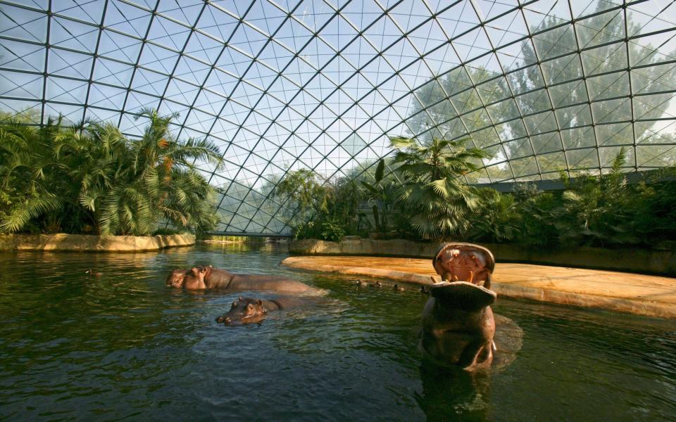 Hippo House, Berlin Zoo, Berlin Germany