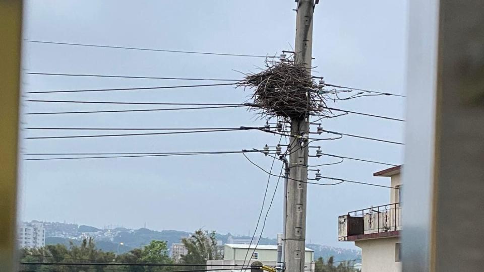 電桿遭鳥築巢，網友請台電拆違建。（圖／翻攝自爆怨2公社）