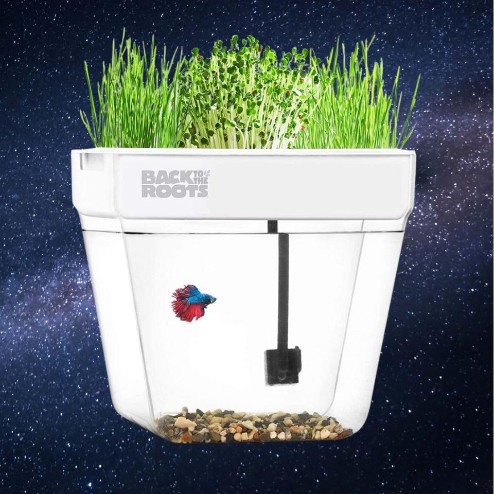 This year-round and self-watering garden teaches kids about aquaponic and hydroponic ecosystems as well as the concept of symbiosis in nature. The kit becomes a self-cleaning fish tank. Waste from the fish fertilizes the microgreens while the plants naturally clean the water. (The kit includes a coupon to purchase a betta fish from an approved company.)You can buy the water ecosystem kit for:$66.13 at Amazon (originally $99.99)$99.99 at Bed Bath & Beyond