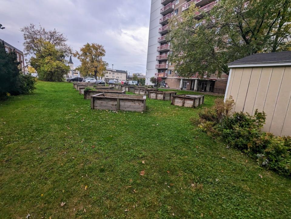 The free Wi-Fi could also mean tenants working in the community garden or spending time outside between the two Donald Street buildings will have access to the internet. 