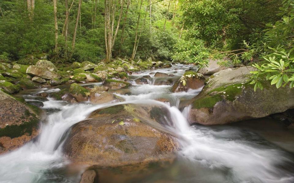 North Carolina — Big Creek Campground, Great Smoky Mountains National Park