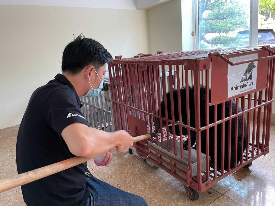 bear cub rescued from motorcycle