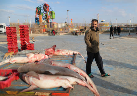 A man looks at fish put on sale at the seaport of Gaza City, after Israel expanded fishing zone for Palestinians April 2, 2019. REUTERS/Suhaib Salem