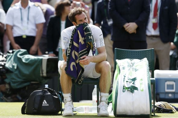 Tennis - 2014 Wimbledon Championships - Day Ten - The All England Lawn Tennis and Croquet Club