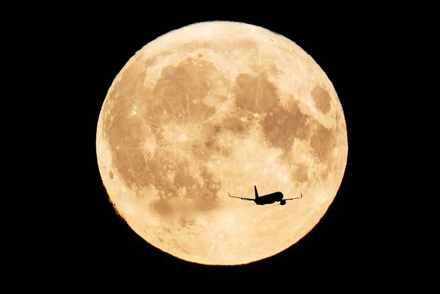 <p>THOMAS TRAASDAHL/Ritzau Scanpix/AFP via Getty</p> Rare super blue moon in Copenhagen