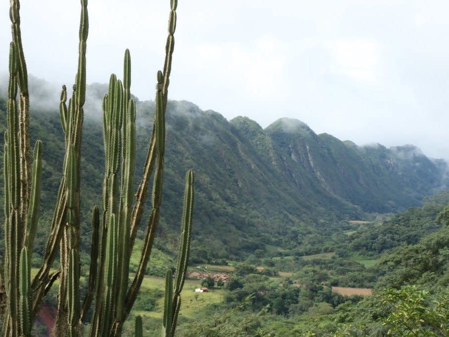 Programmes to improve water quality in the Andes have not been successful: Patrick Bottazzi