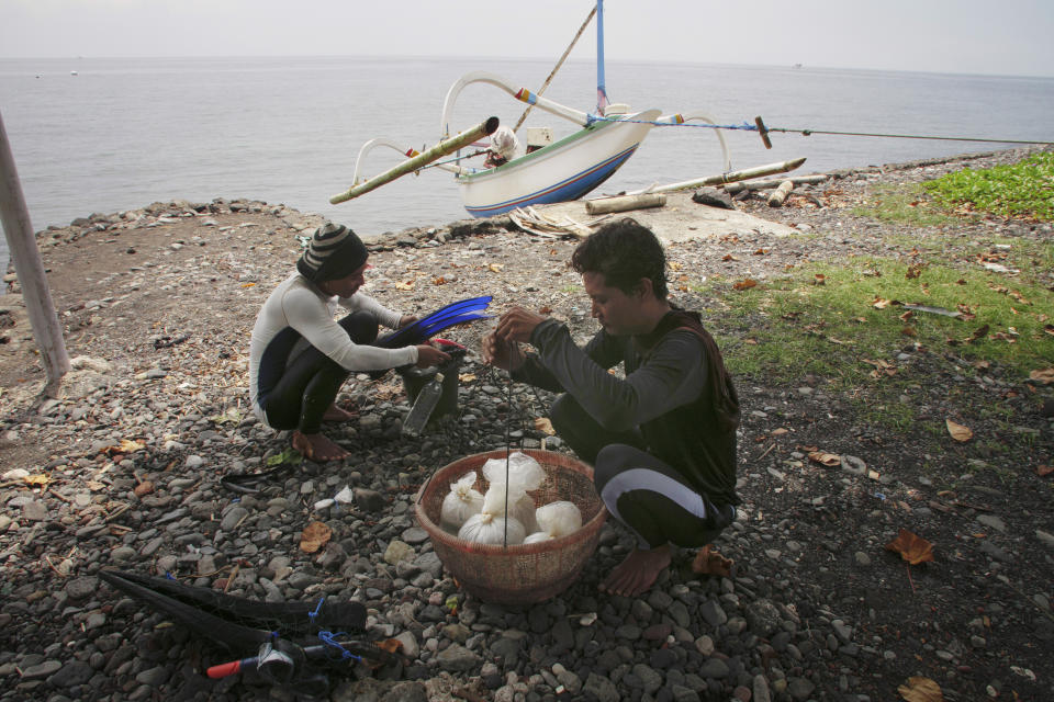 Made Partiana and another villager sort fish caught during the day on April 11, 2021. “I hope that [healthier] coral reefs will make it possible for the next generation of children and grandchildren under me,” Partiana says. He wants them to be able to “see what coral looks like and that there can be ornamental fish in the sea.” (AP Photo/Alex Lindbloom)