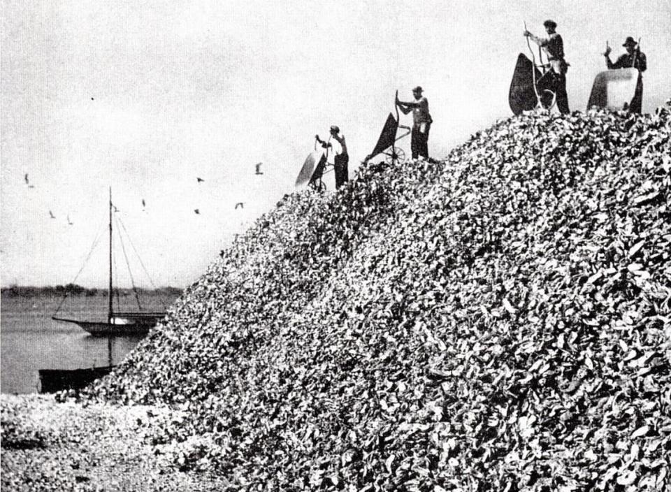 Oysters were abundant in the Mississippi Sound when this photo was taken in East Biloxi in the early 1900s, when the city was known as the Seafood Capital of the World because of all its canning factories.