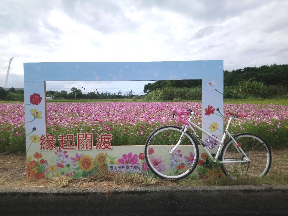 關渡花海正盛開，為了方便遊客前往，特地安排花海專車從捷運唭哩岸站接駁。    圖：台北市工務局／提供