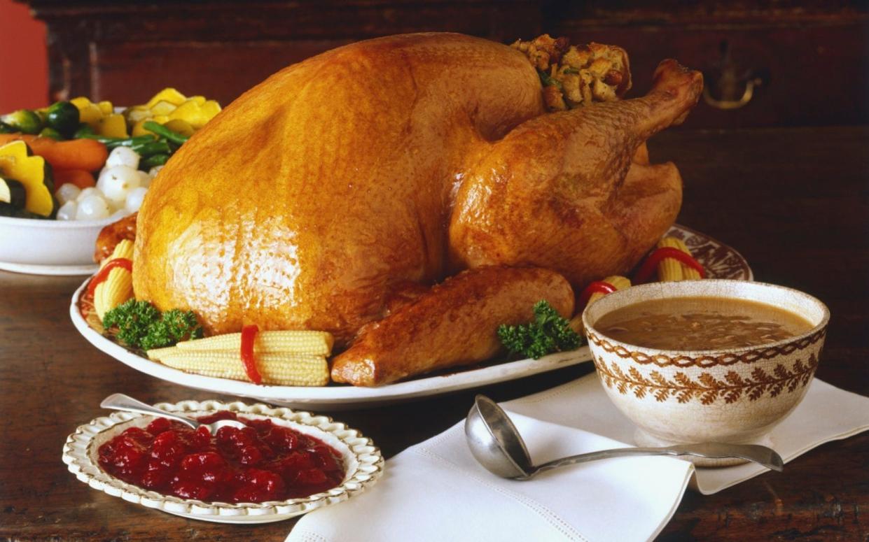 Roast turkey served with vegetables and cranberry sauce - Dorling Kindersley/Getty Images