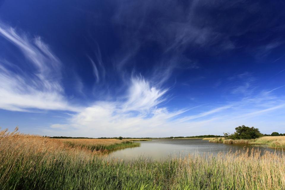 14) Hickling Broad, the largest of the Broads