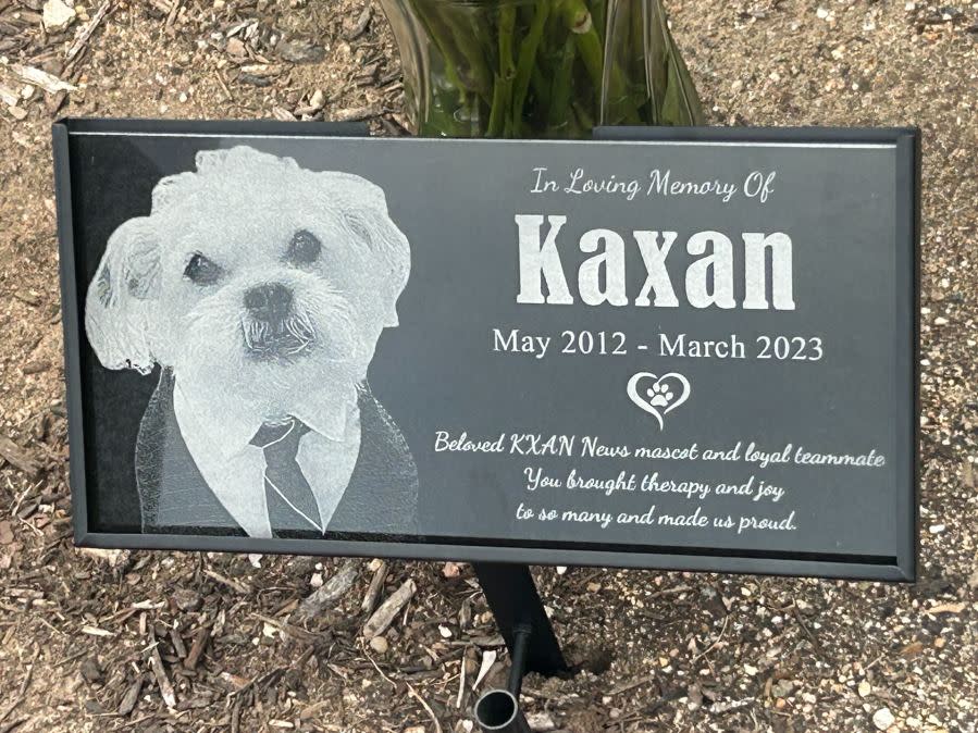 KXAN dedicated a garden in memory of Kaxan, the station's mascot, on June 13, 2024. Kaxan died in 2023. He was named the state's top therapy dog in 2019. (KXAN Photo/Frank Martinez)