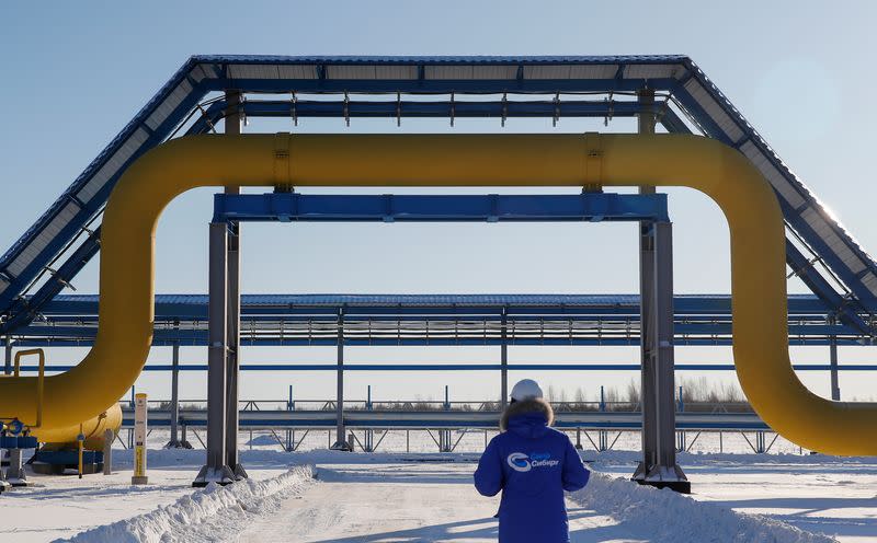 FILE PHOTO: An employee walks past a part of Gazprom's Power Of Siberia gas pipeline at the Atamanskaya compressor station outside the far eastern town of Svobodny