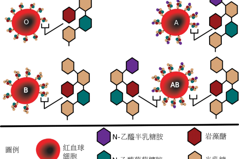 醣類分子