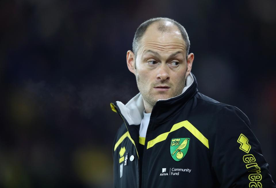 Norwich manager Alex Neil