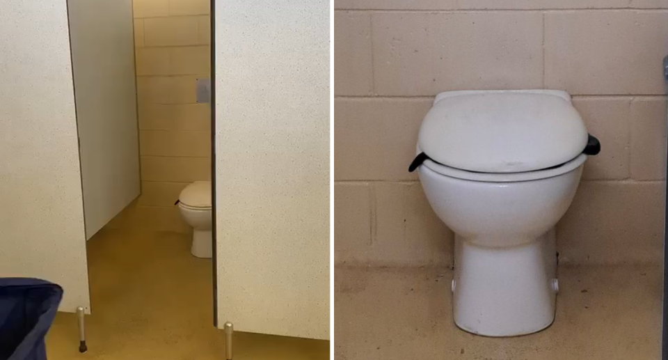 Two images of the snake inside the toilet at Goondiwindi