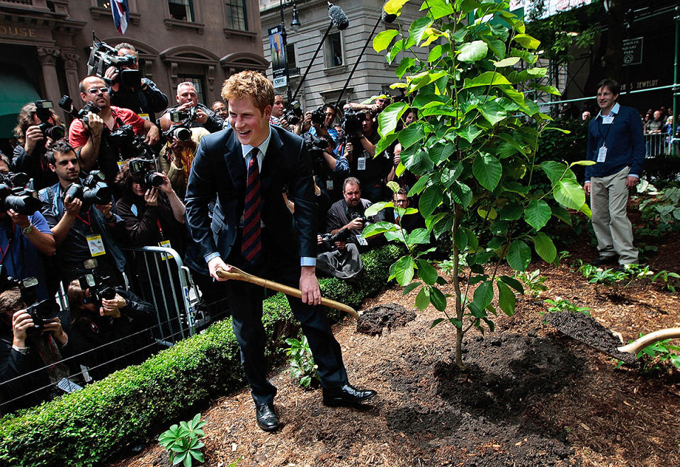 <p>Prince Harry wasn't afraid to get his hands dirty while helping to plant a tree during an official naming of the British Garden at Hanover Square, in New York City's Financial District, in May 2009. </p>