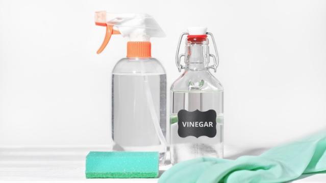 Steam Clean Oven with Vinegar and Water - Review