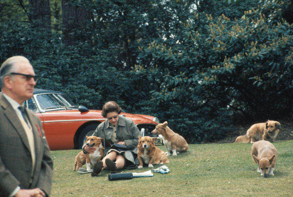 Queen Elizabeth II surrounded by her dogs