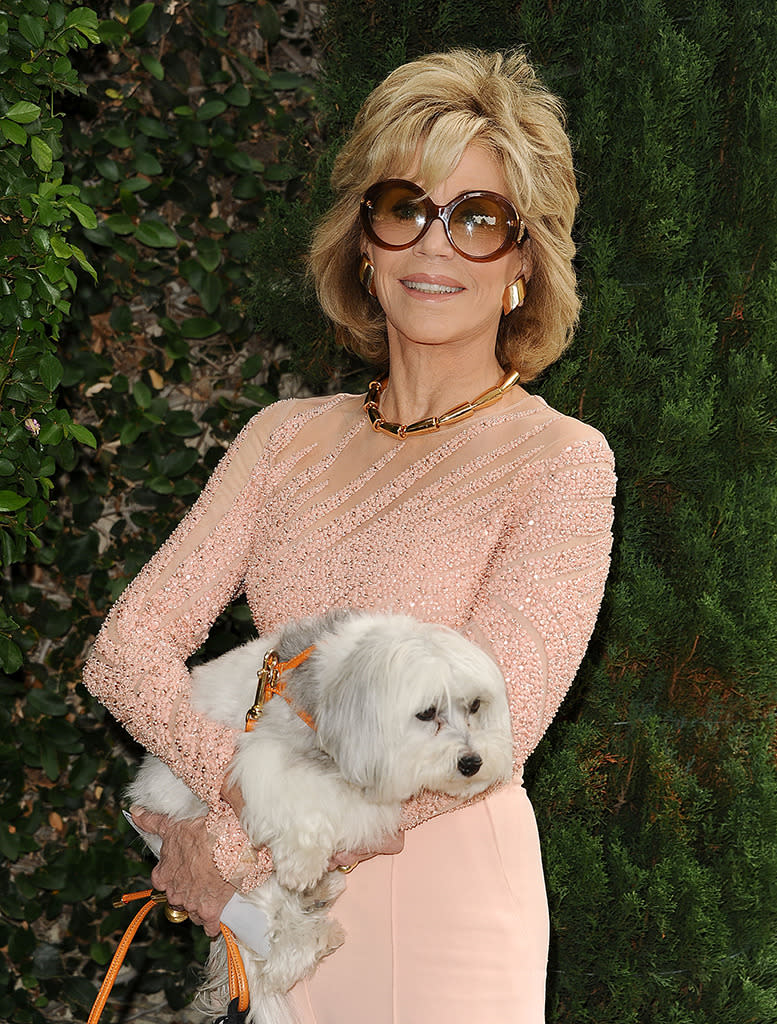 Wherever Jane Fonda goes, so does her pampered pooch. Tulea even accompanied the 77-year-old actress — who looked stunning as always — to The Rape Foundation’s annual brunch at Green Acres in Beverly Hills. (Jason LaVeris/FilmMagic)